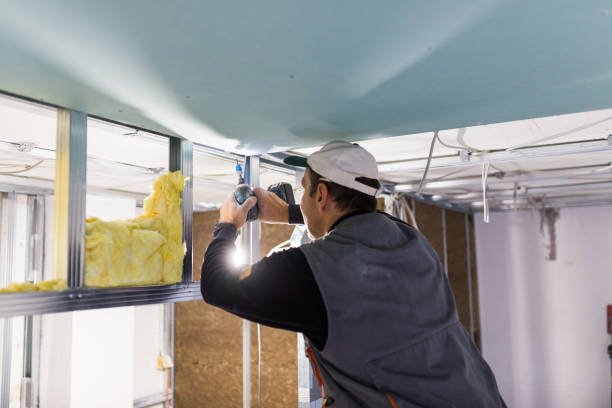 Best Attic Insulation Installation  in Leavenworth, KS