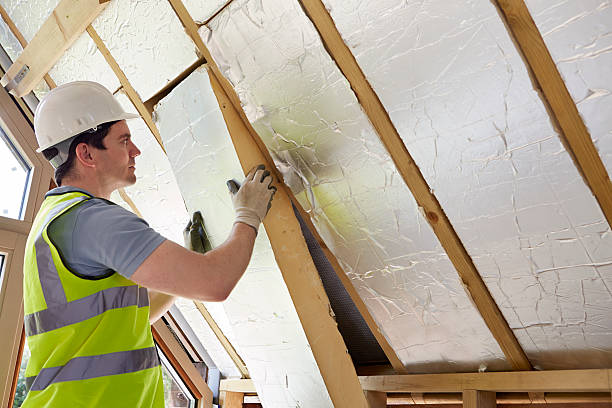 Best Insulation for New Construction  in Leavenworth, KS
